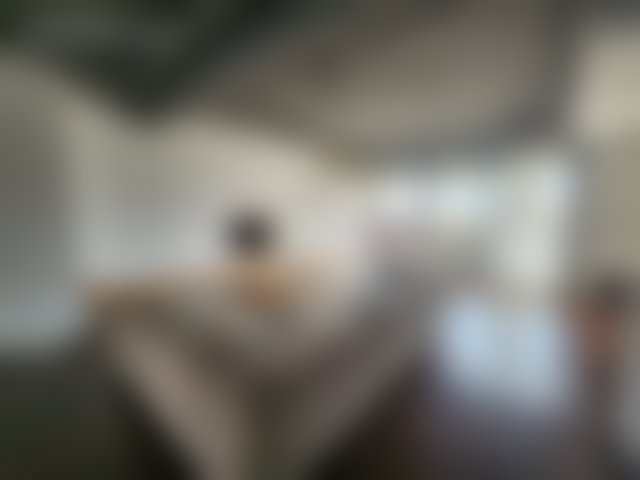Appartement meublé 180 m², dernier étage avec terrasse, Gauthier — 4