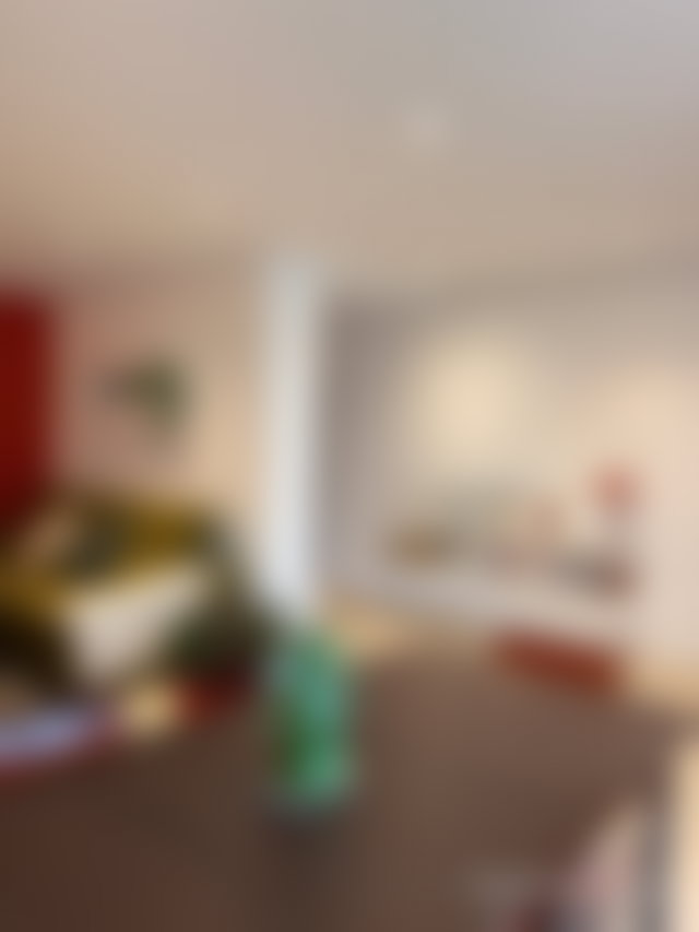 208 sqm Furnished Apartment with Terrace in Racine, Casablanca — 4