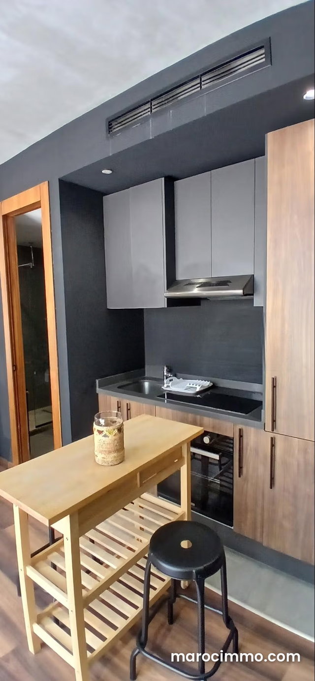 Gauthier Luxe Apt 65m2 Terrase 15m2 meublé à louer — 4