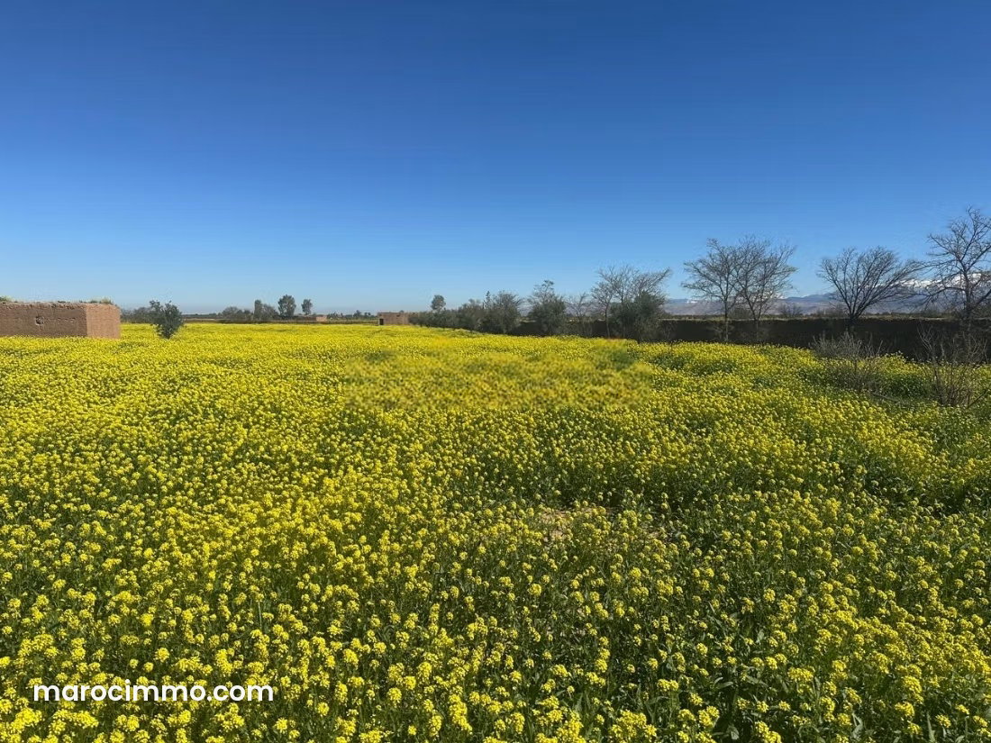 2-Hectare Plot of Land for Sale, Amezmiz Road, Marrakech — Marrakesh