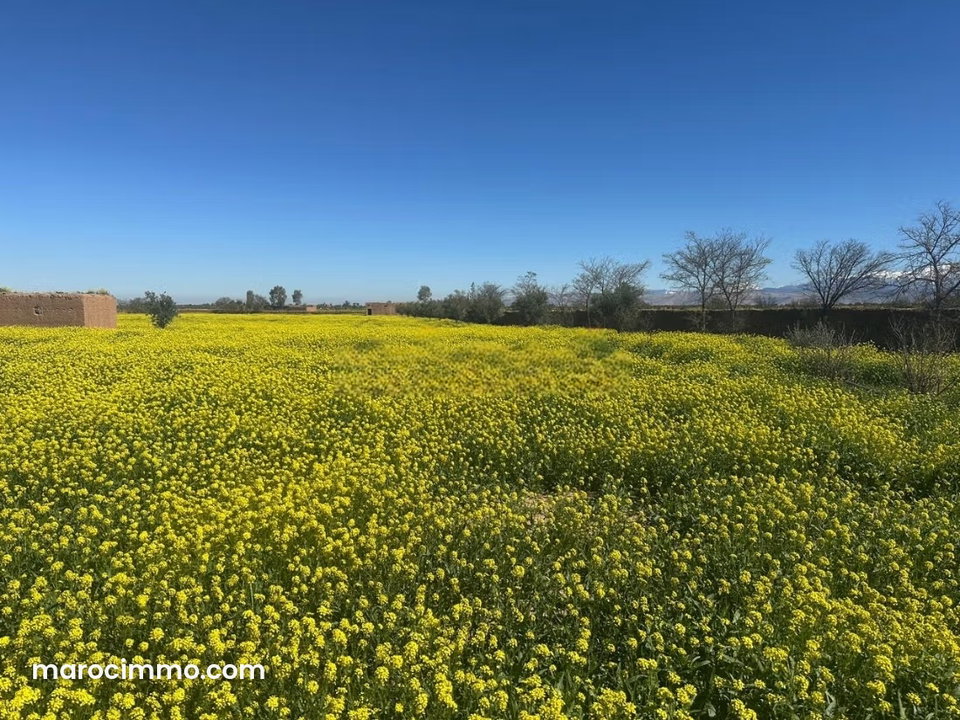 Land with building permit for sale km 50 route amizmiz 2 hectares of surface