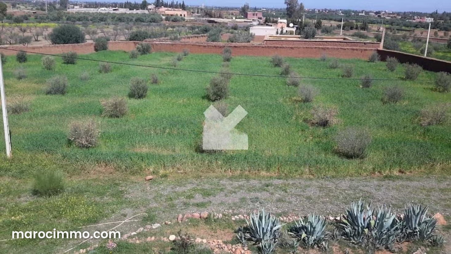 قطعة أرض واسعة للبيع بأكدال مراكش — مراكش