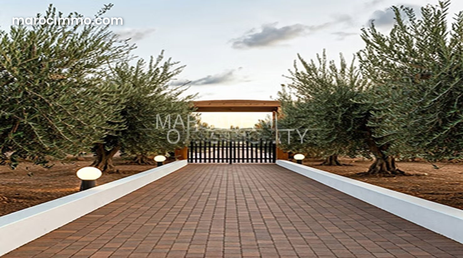 Farm with Olive Grove for Sale on the Tahanaoute Road, Marrakech — Marrakesh
