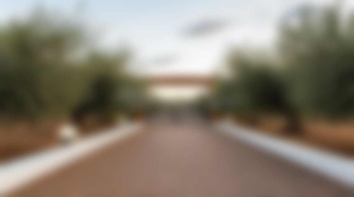 مزرعة زيتون فسيحة للبيع بطريق تحناوت مراكش