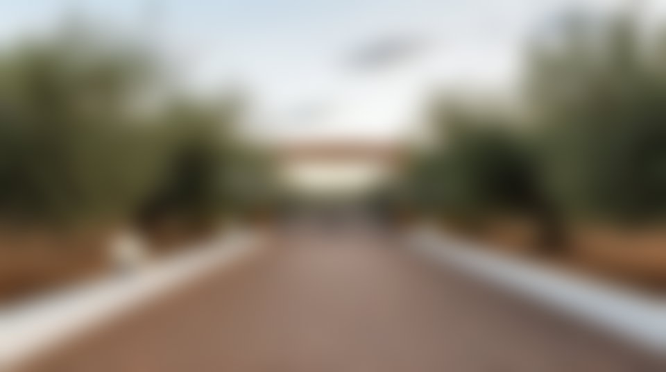 مزرعة زيتون فسيحة للبيع بطريق تحناوت مراكش