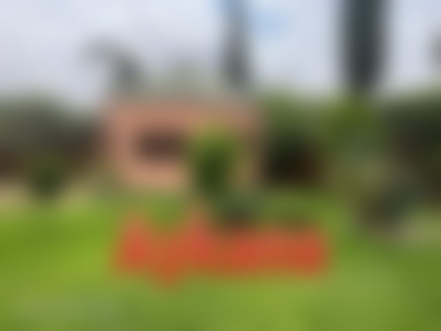 فيلا راقية بحدائق النخيل في مراكش — 3