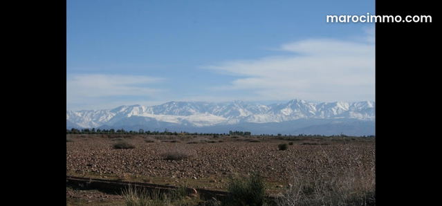 1 ha à vendre à Marrakech — Marrakech
