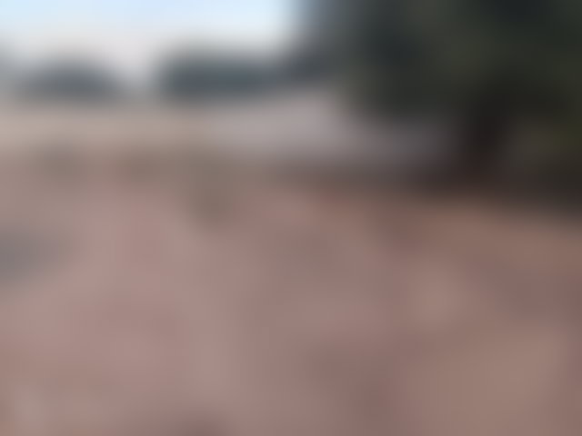 أرض رحبة للبيع على طريق أوريكا بمراكش — 3