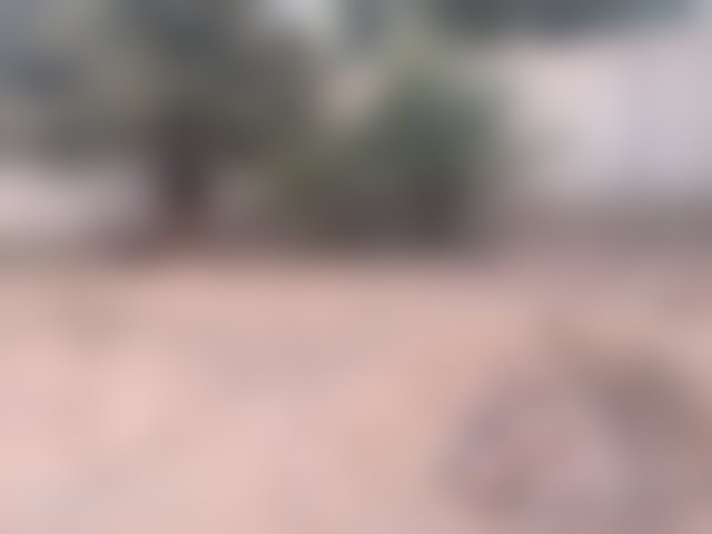 أرض رحبة للبيع على طريق أوريكا بمراكش — 2