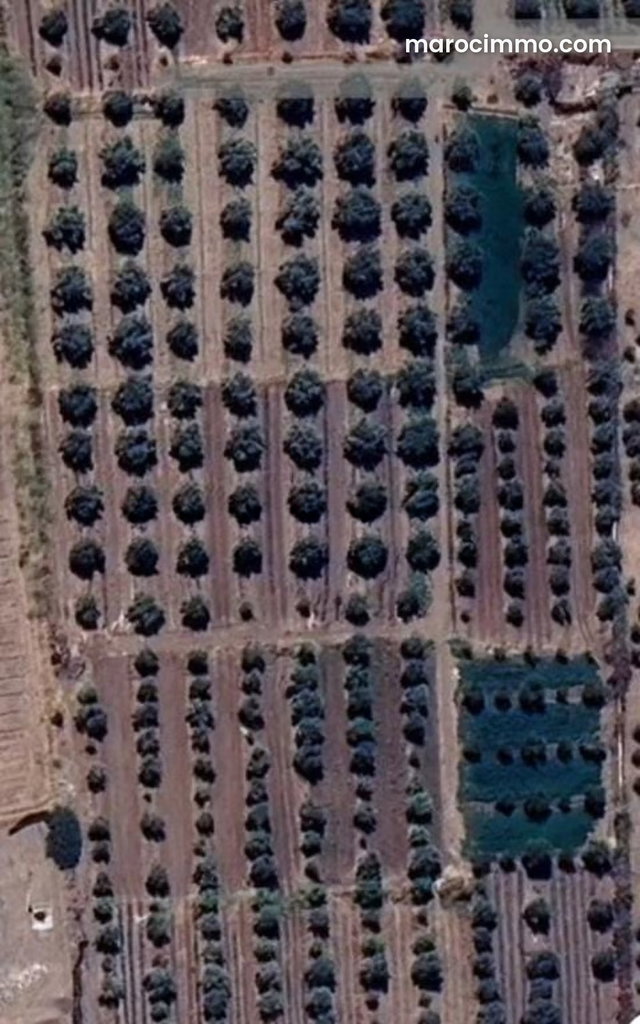 4.8 hectares SD1 a Route de l'Ourika — 2