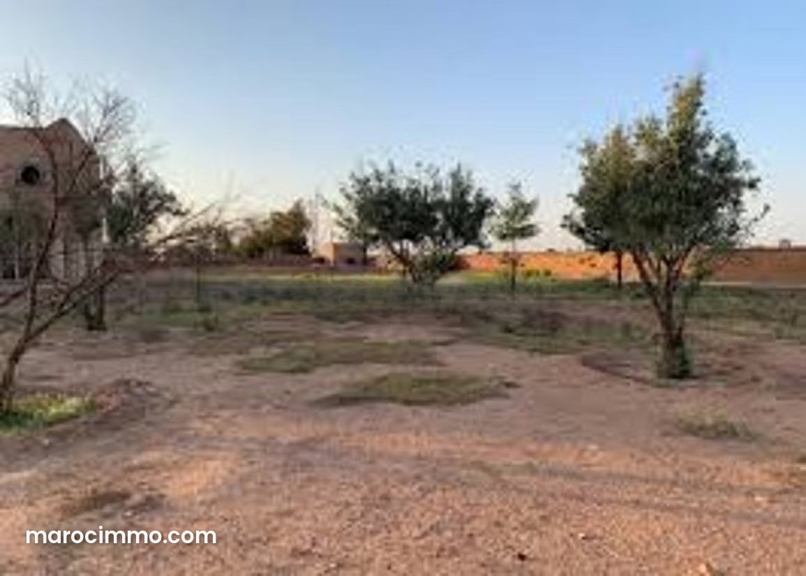 Terrain 46 hectares zone touristique, Palmeraie, Marrakech — Marrakech