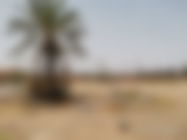 قطعة أرض سياحية نادرة في بالميراي مراكش — 2