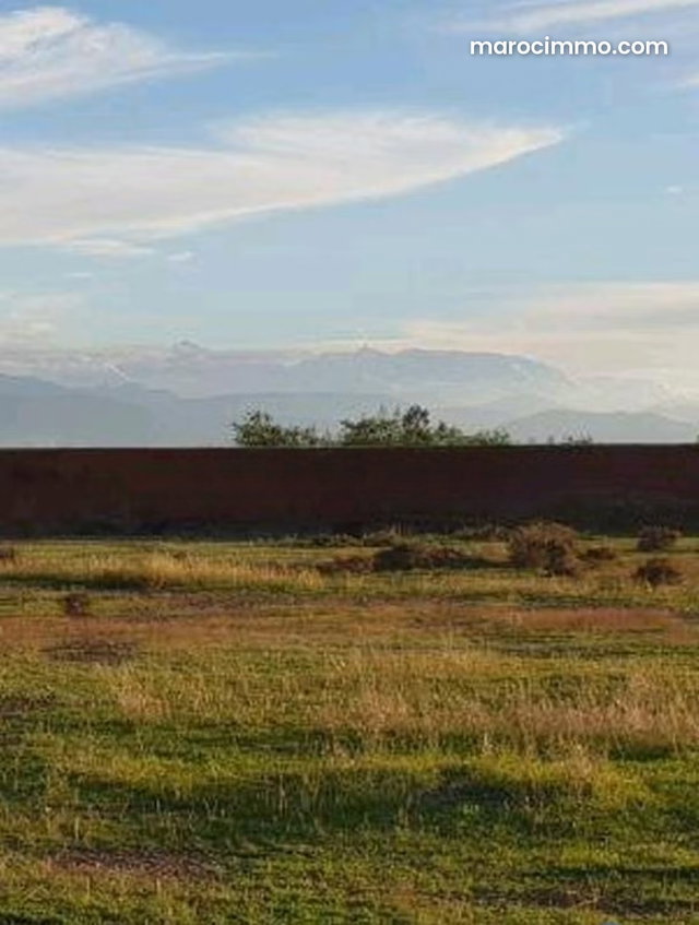 46 hectares titrés Zone touristique a la Palmeraie — 3