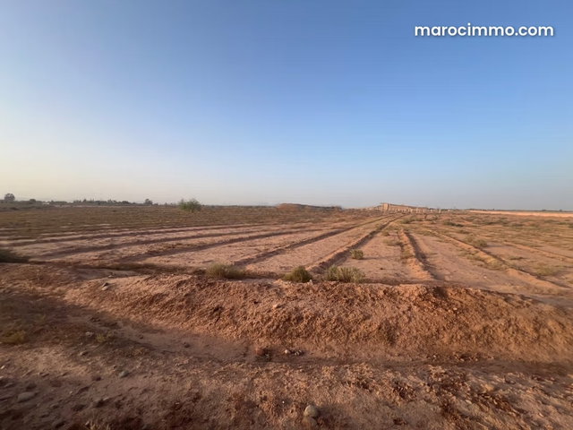 Land for Sale – Al Ouiddane, Route de Fès — 3