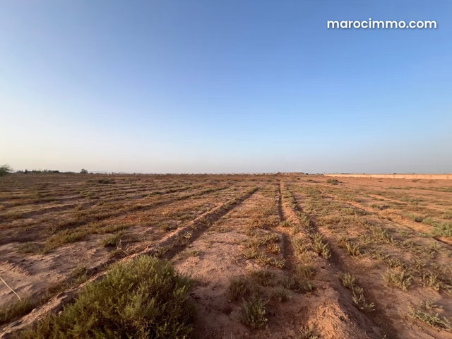 Land for Sale – Al Ouiddane, Route de Fès — 2