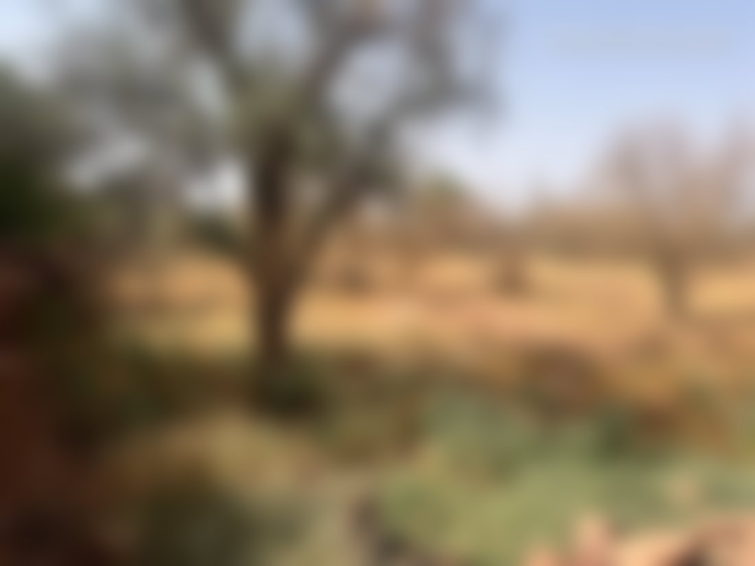 10-Hectare Land Plot on Ourika Road, Marrakech, Urbanized Zone