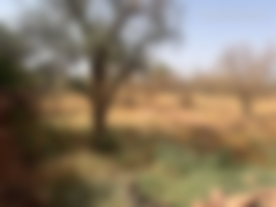 10-Hectare Land Plot on Ourika Road, Marrakech, Urbanized Zone