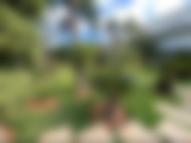 1,600 sqm Villa with Swimming Pool and Landscaped Garden in Souissi, Rabat — Rabat