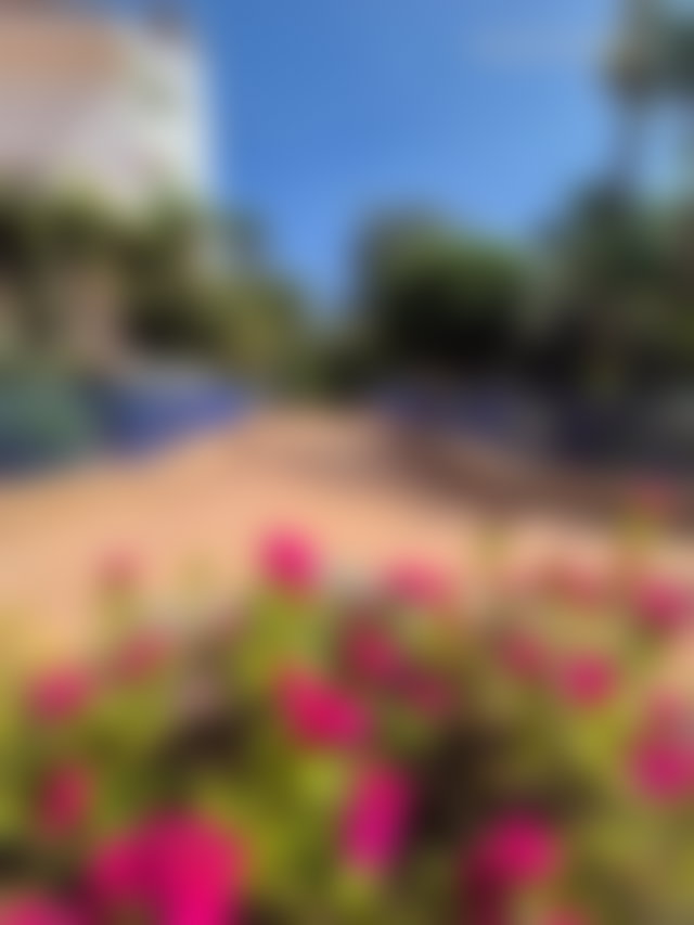 Villa 800 m² sur 4000 m² de parc arboré, Souissi, Rabat — 4