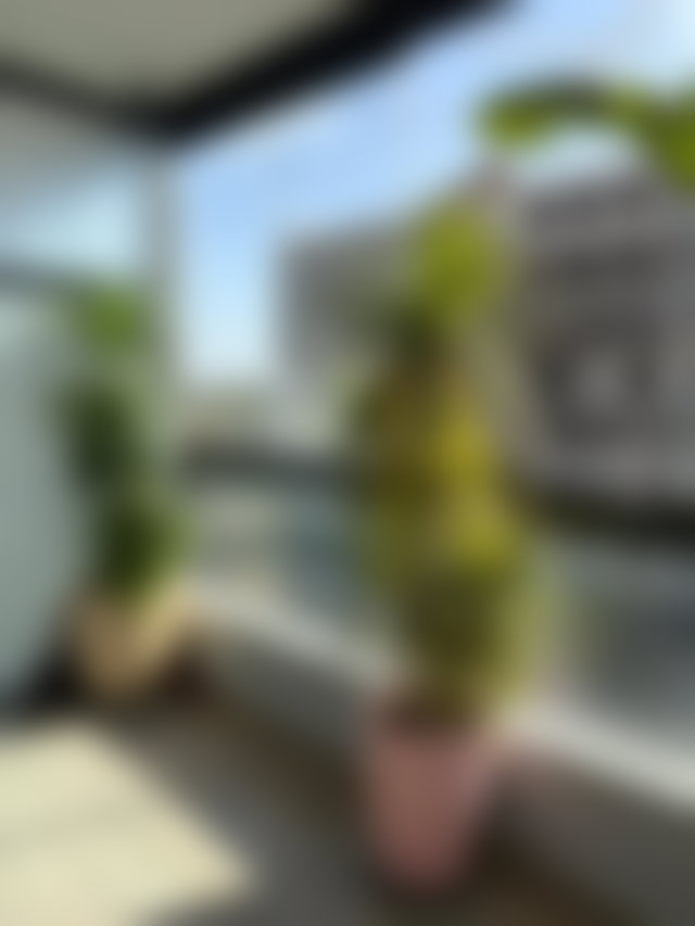 Appartement meublé à louer à Casablanca Finance City — 2