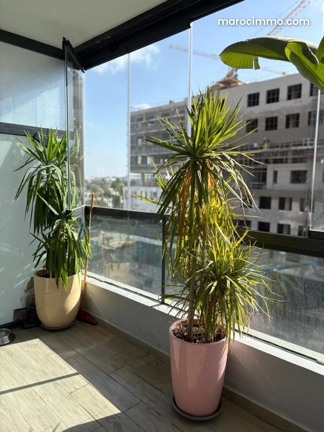 Furnished Apartment for Rent — 2