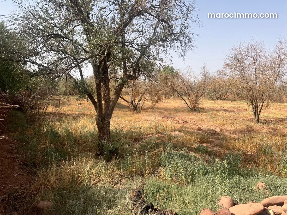 10,000 m² Plot with Atlas Views, Ourika Road, Marrakech — Marrakesh
