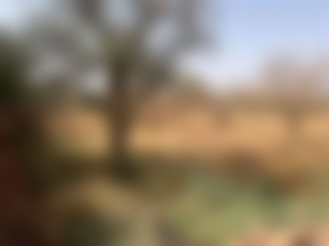 10,000 m² Plot with Atlas Views, Ourika Road, Marrakech — Marrakesh