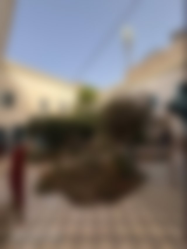 رياض تاريخي قابل للتجديد بحي قاع بن ناهض مراكش — 5