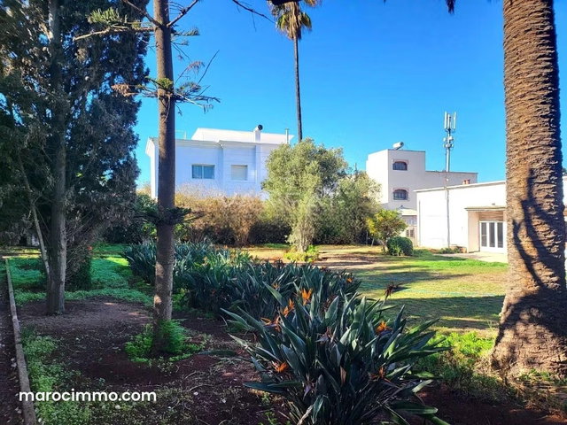 Vente terrain / villa à Polo de 1 802 m² — 4