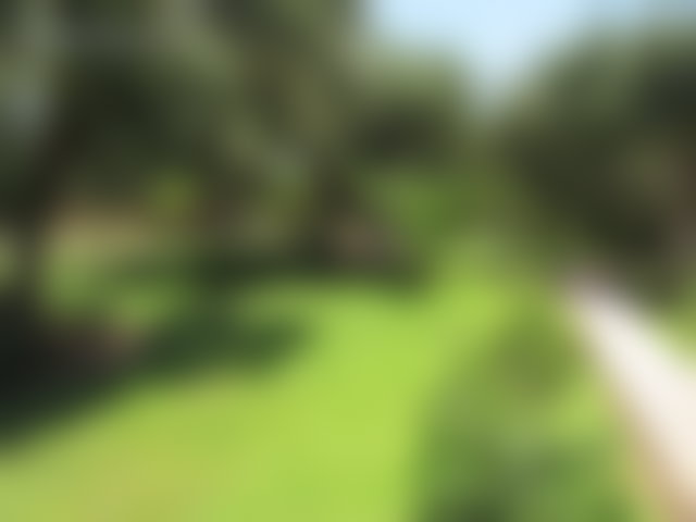 Villa 550 m² sur 5760 m² de parc arboré, Route de Fès, Marrakech — 4