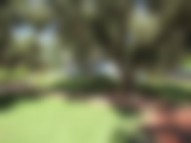 Villa 550 m² sur 5760 m² de parc arboré, Route de Fès, Marrakech — 3