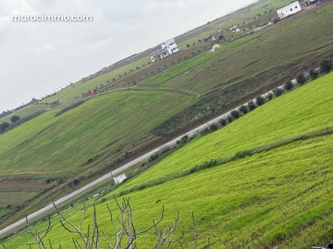 Ferme 10 000 m² à vendre à Tifelt, idéale projet agricole — Tifelt