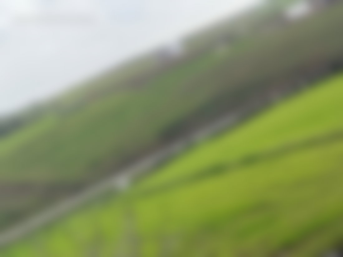 Ferme 10 000 m² à vendre à Tifelt, idéale projet agricole