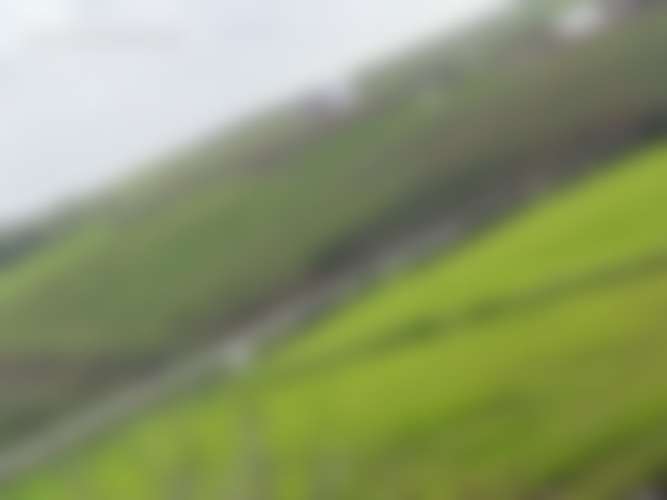 Ferme 10 000 m² à vendre à Tifelt, idéale projet agricole
