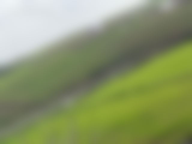 Ferme 10 000 m² à vendre à Tifelt, idéale projet agricole — Tifelt