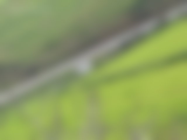 Ferme 10 000 m² à vendre à Tifelt, idéale projet agricole — 2