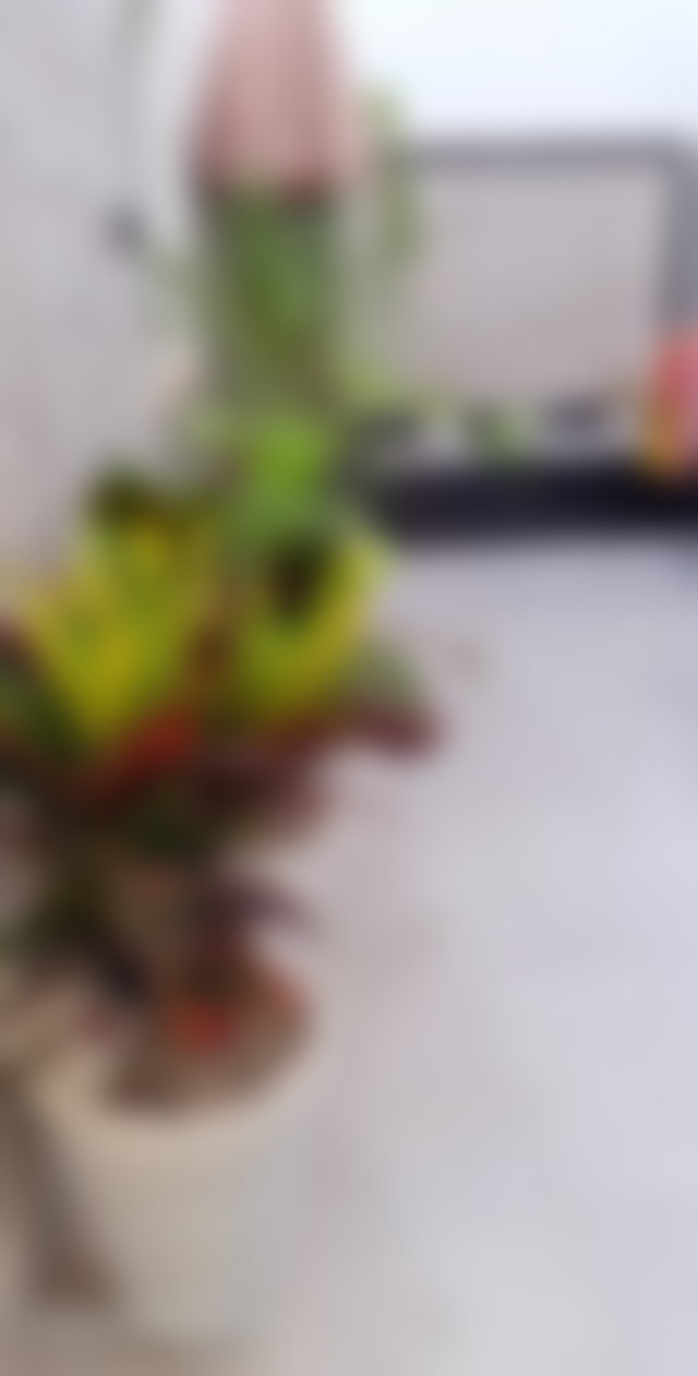 Appartement 5 pièces avec terrasse et jardin à Riyad Rabat — 2