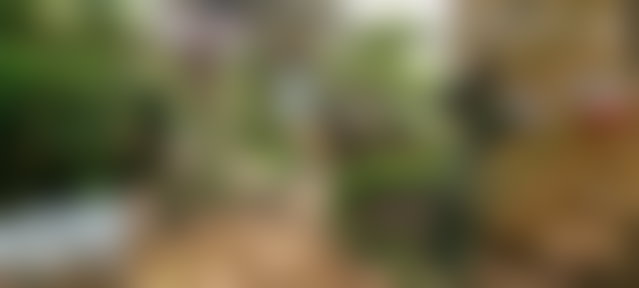 Villa 300 m² sur 795 m² de terrain à rénover, Les Orangers Rabat — 3