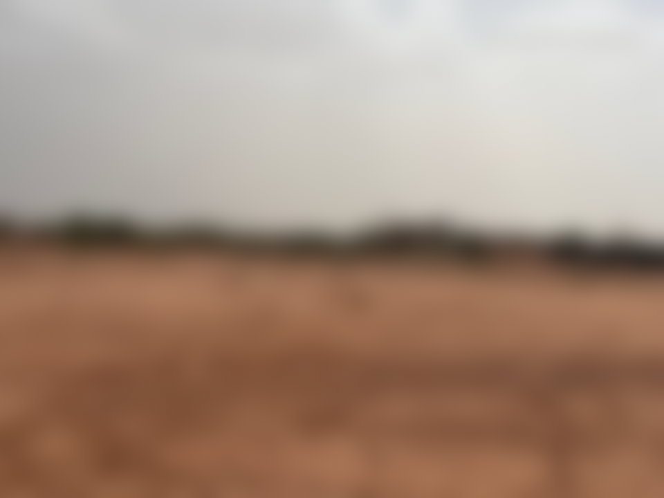 فرصة نادرة أرض قابلة للبناء بمساحة 13000 م² في تامزوزت