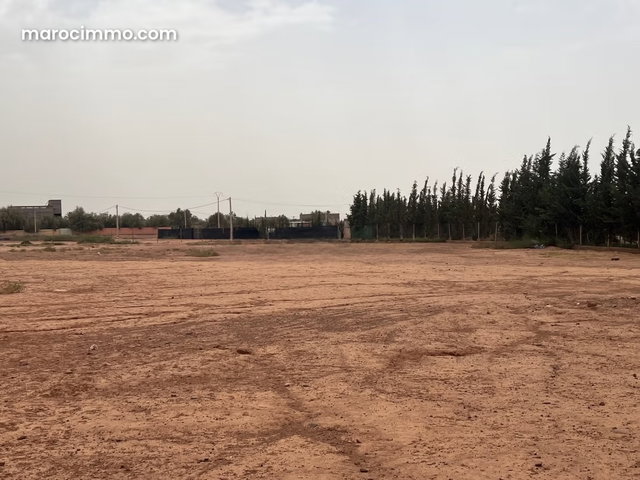 Terrain à la vente à Tamazouzte. Surface de 13000 m² — 4