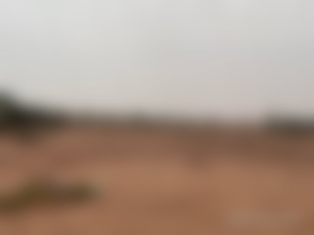 فرصة نادرة أرض قابلة للبناء بمساحة 13000 م² في تامزوزت — 2