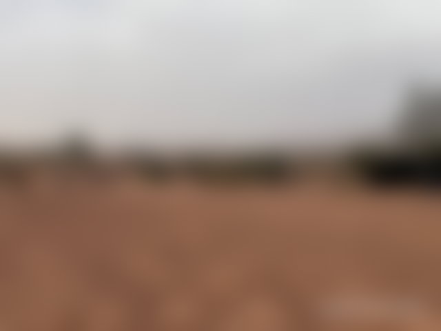 فرصة نادرة أرض قابلة للبناء بمساحة 13000 م² في تامزوزت — 3
