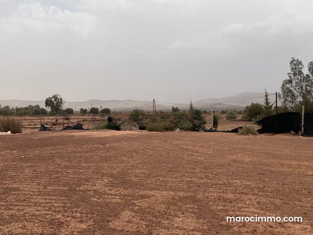 Terrain à la vente à Tamazouzte. Surface de 13000 m² — 3