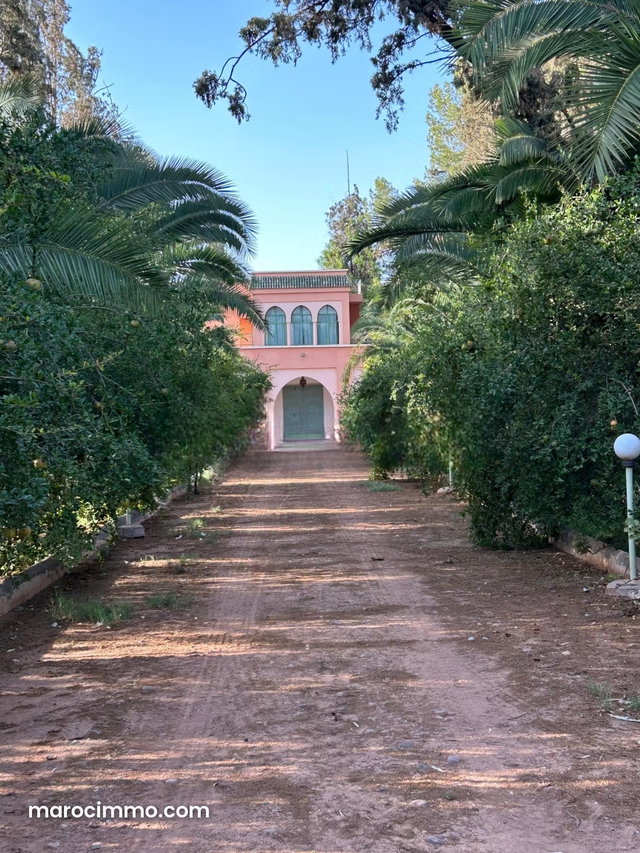 Vente Terrain agricole à route de fès — 4