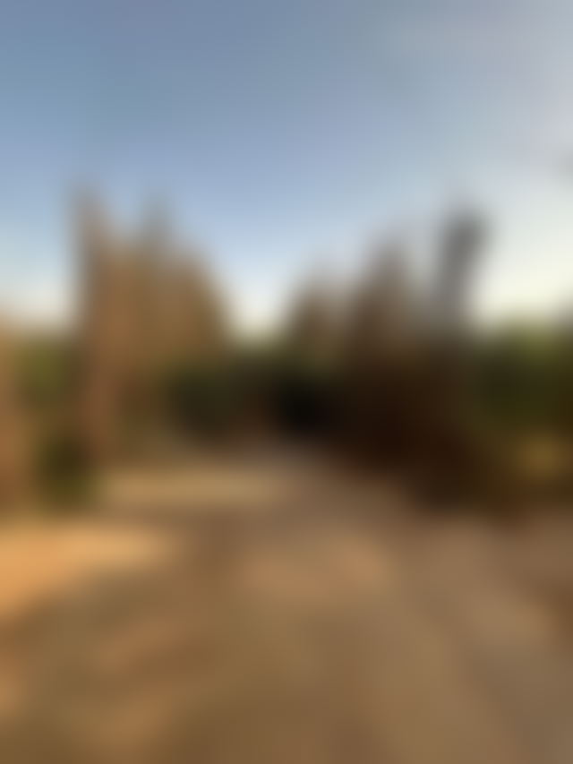 مزرعة مثمرة وڤيلا أنيقة للبيع بطريق فاس مراكش — مراكش
