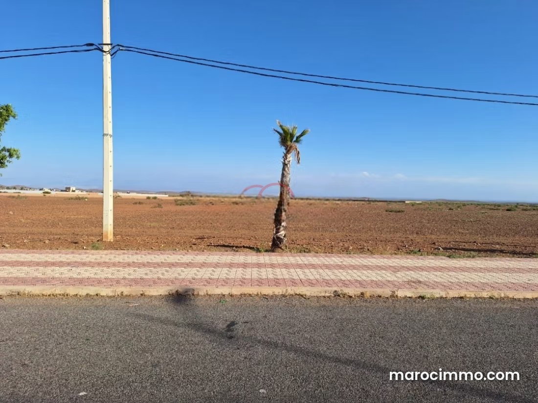 أرض واسعة للإيجار بمنطقة بوروس في قلعة السراغنة — قلعة السراغنة