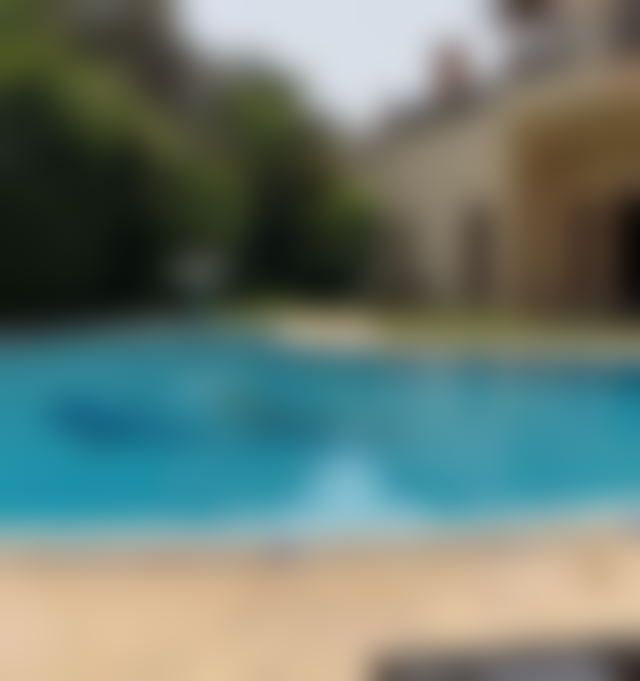 فيلا فاخرة مع مسبح وحديقة وسط الجديدة — الجديدة