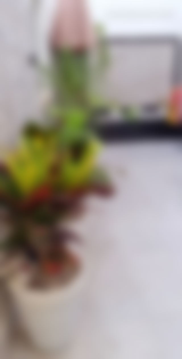 450 sqm Villa with Garden in Agdal, Rabat — Rabat