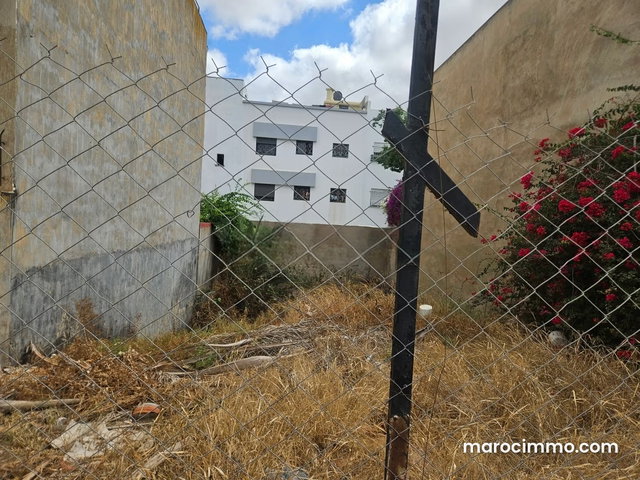 Vente terrain à Sidi Maarouf. Surface de 248 m² — 3