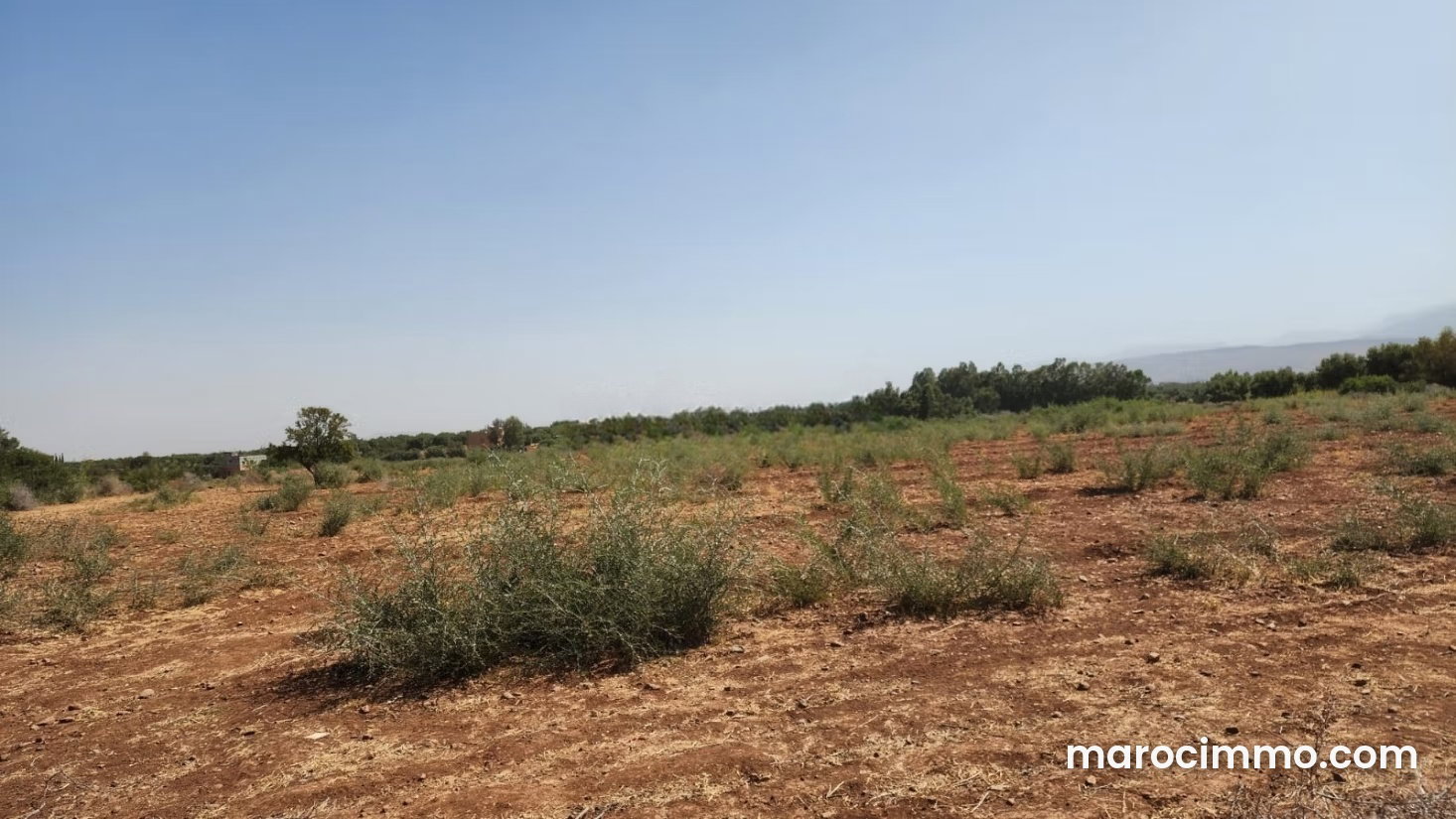 3-Hectare Plot on Ourika Road, Marrakech – Tourism Project — Marrakesh